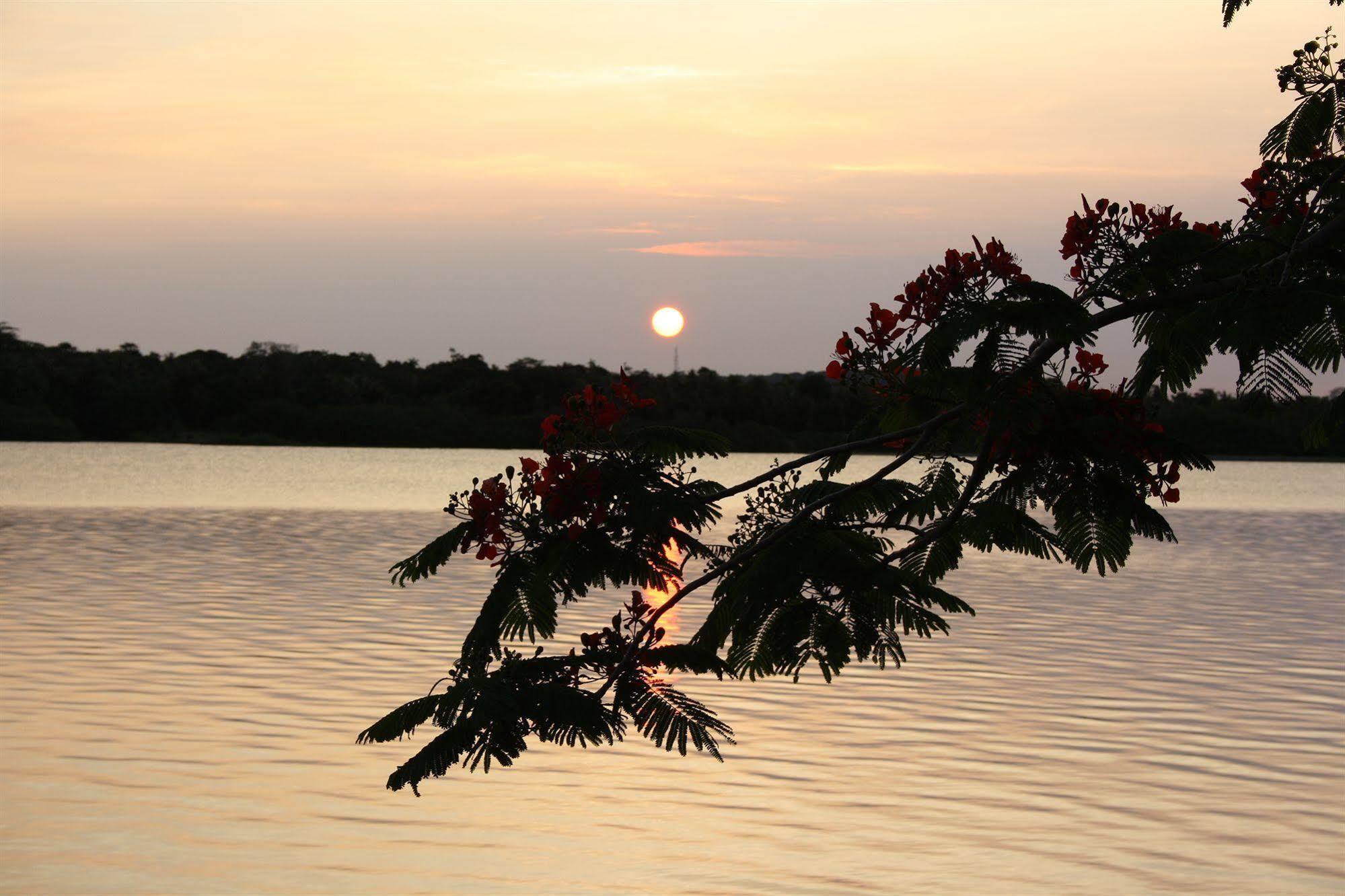 Sunset Bungalows Resort, Vanuatu Port Vila Eksteriør billede